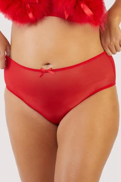 Elizabeth Mesh High Waisted Brief - Red -