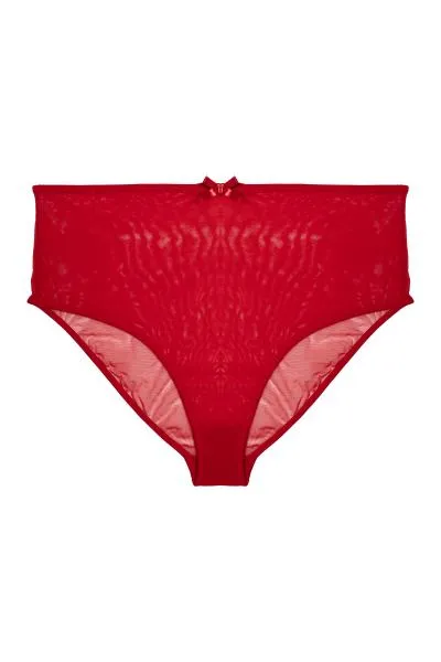 Elizabeth Mesh High Waisted Brief - Red -