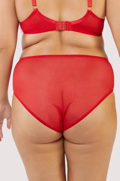 Elizabeth Mesh High Waisted Brief - Red -